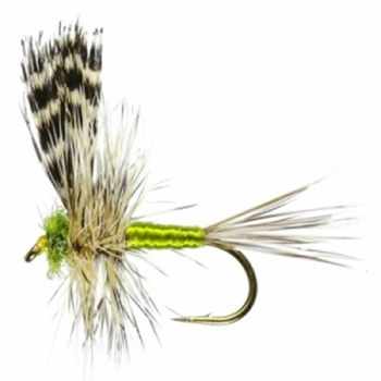 Fly Fishing Glossary Trout Flies & Much Much More